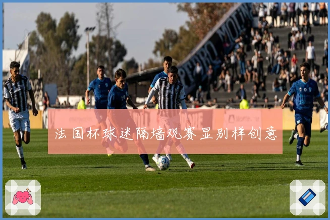 法国杯球迷隔墙观赛显别样创意