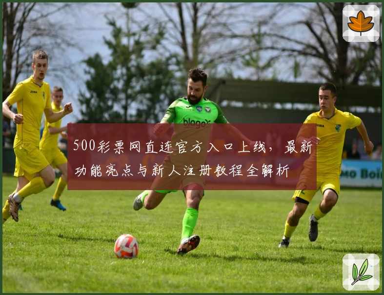500彩票网直连官方入口上线，最新功能亮点与新人注册教程全解析